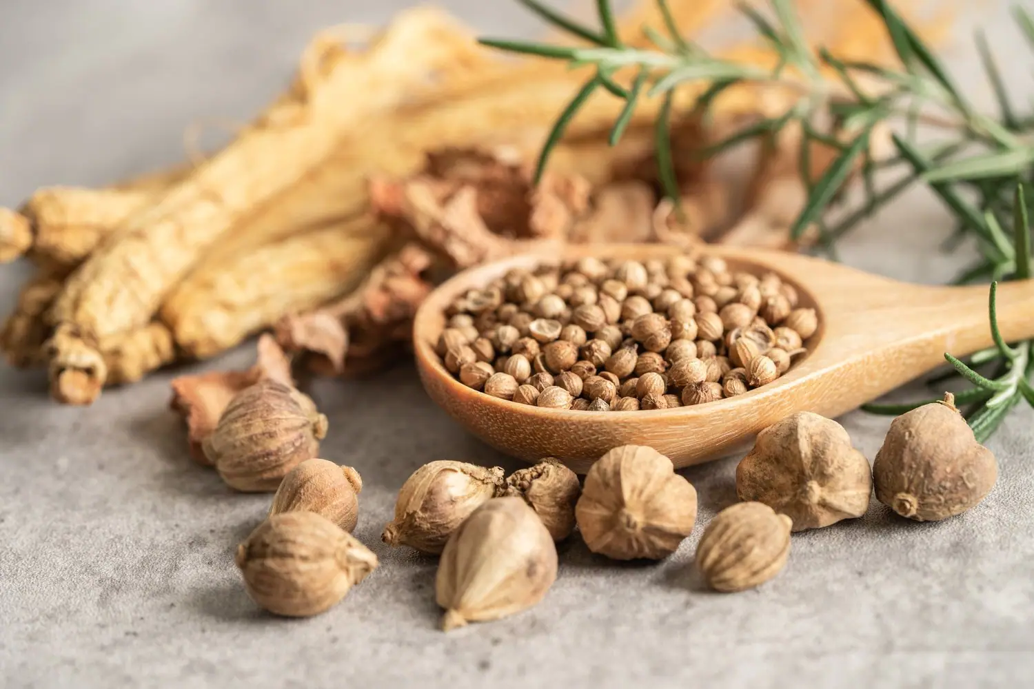 Naturalne sposoby na regenerację wątroby po antybiotykoterapii