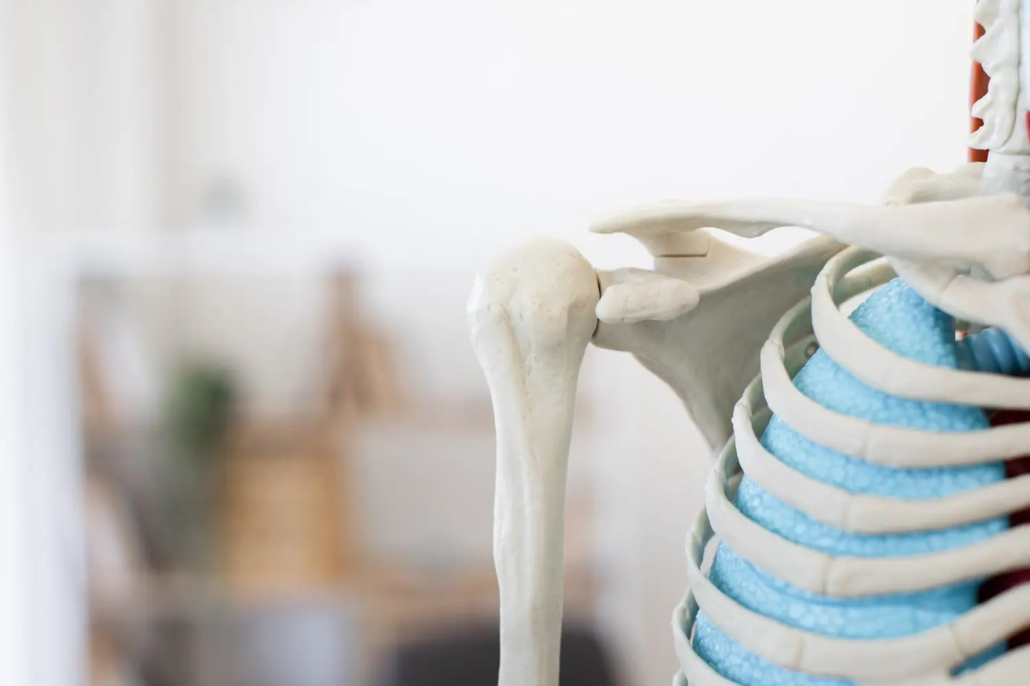 Naturalne sposoby na wzmocnienie kości i zapobieganie osteoporozie